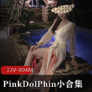 粉丝狂热！PinkDolPhin模特身材美女33段视频合集，总时长904分钟